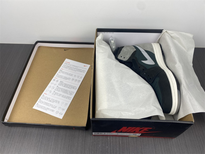 air jordan 1 element gore-tex particle grey db2889-001
