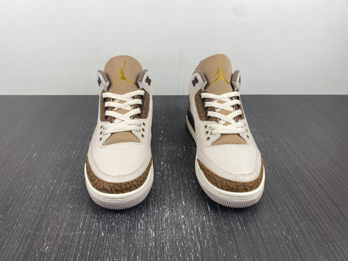 air jordan 3 palomino ct8532-102
