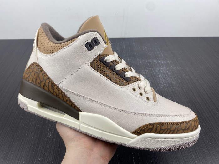air jordan 3 palomino ct8532-102