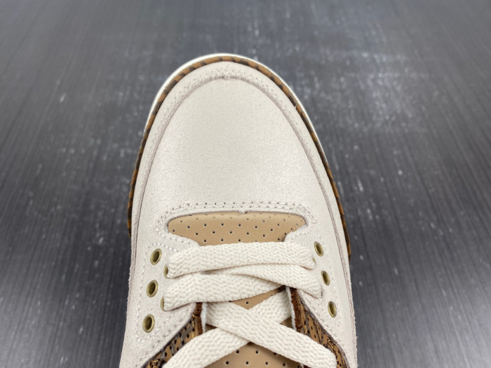 air jordan 3 palomino ct8532-102