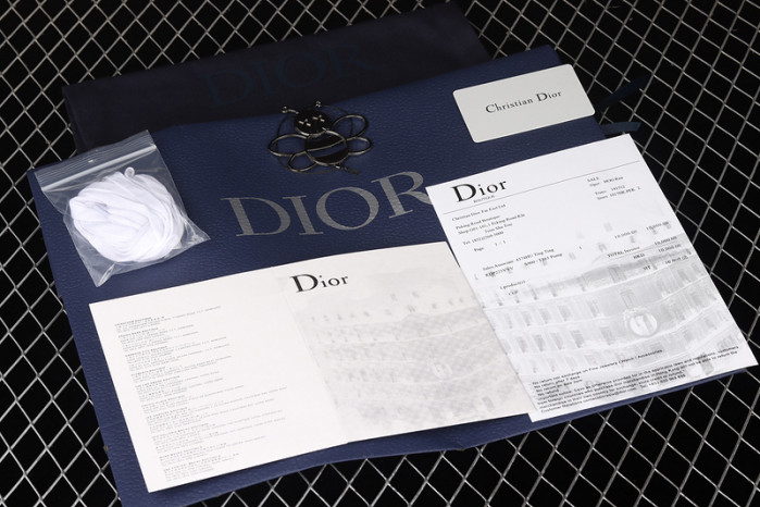 d10r b23 homme kaws high top sneaker