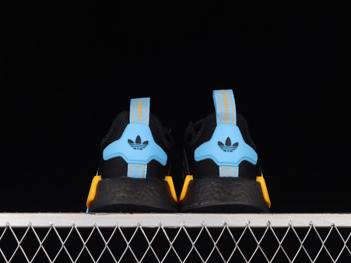 nmd_r1