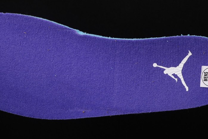 air jordan 12 retro black dark concord ct8013-005